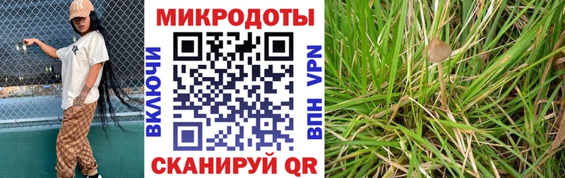 kraken как войти  Грязовец  Псилоцибиновые грибы Cubensis 
